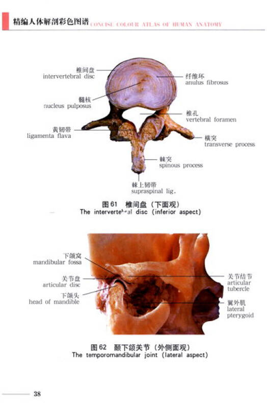 2004新澳精准资料免费提供_最佳精选解剖落实_尊贵版73.194.187.181