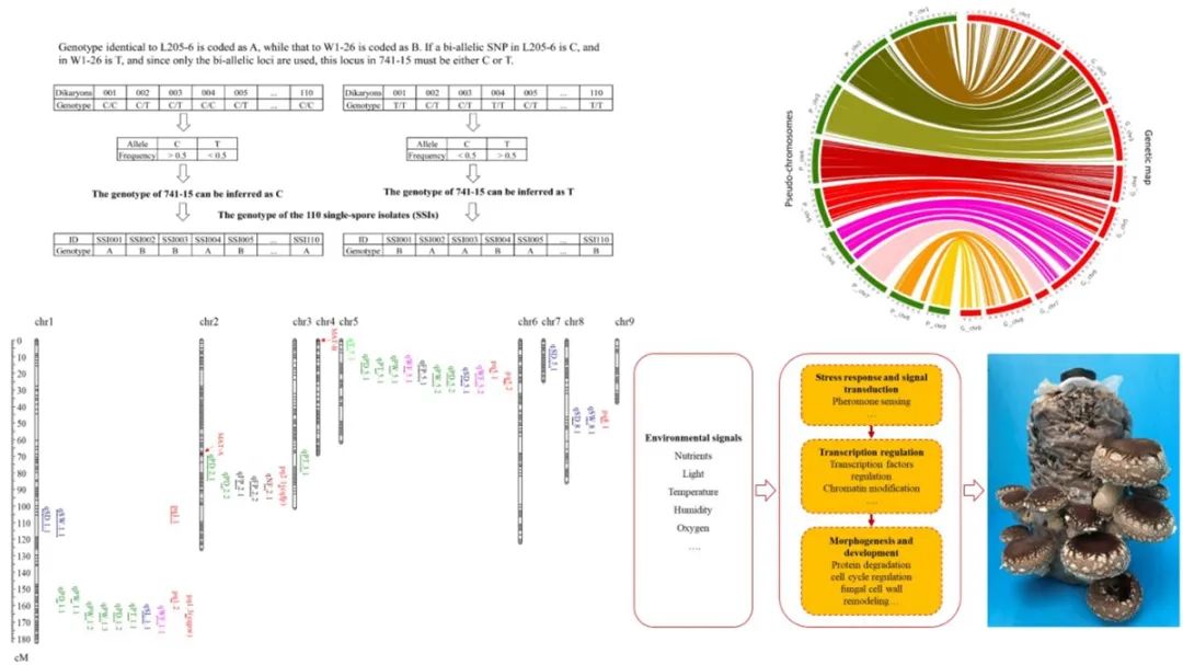 7777788888新澳门开奖结果_数据资料理解落实_bbs121.1.144.14