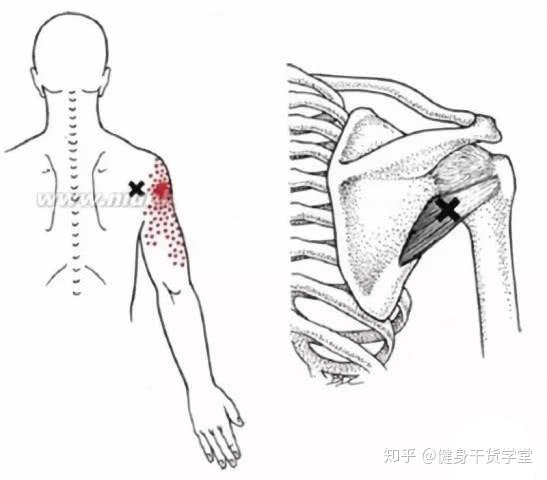 天天好彩_最新核心解剖落实_尊贵版159.49.57.114