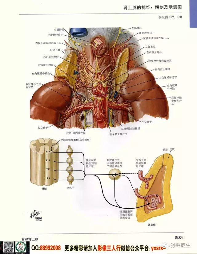 49图库_最佳精选解剖落实_尊贵版124.239.155.18