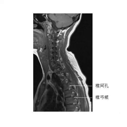 全年资料免费大全_最新答案解剖落实_尊贵版178.132.157.20