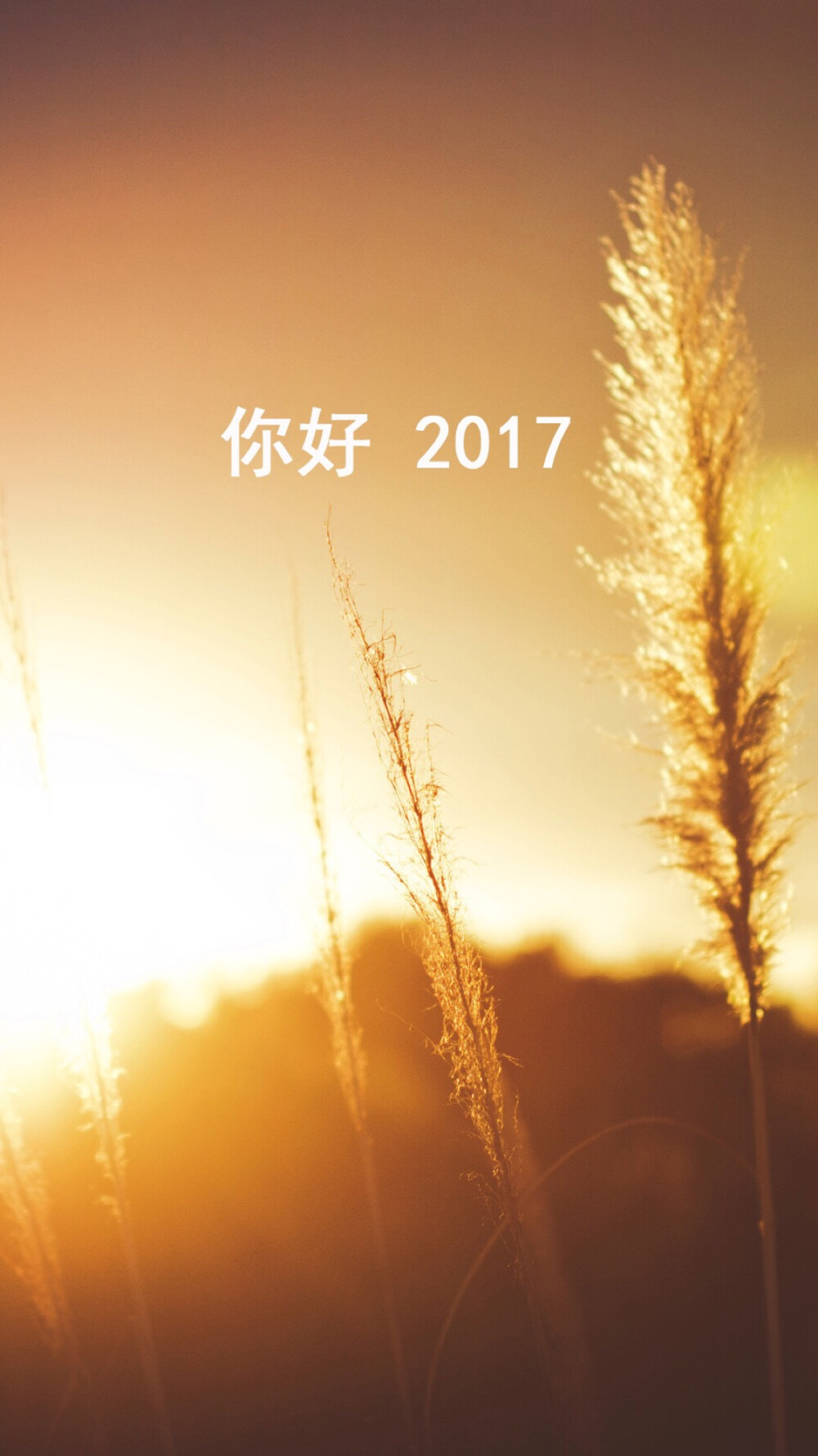 探索美的无限可能，最新唯美图片2017